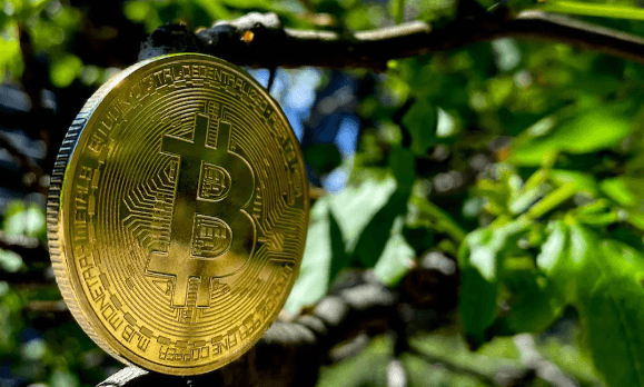 How Crypto Is Going Green