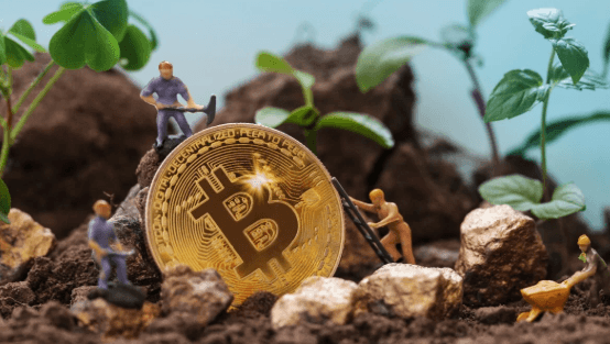 How Crypto Mining Impacts the Environment